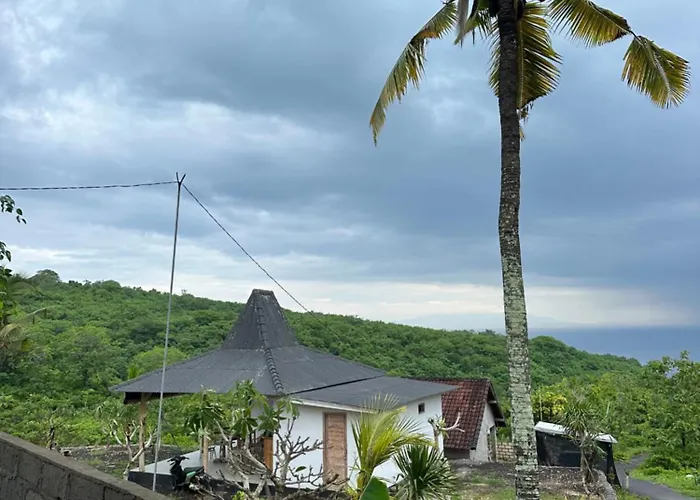 Nature View